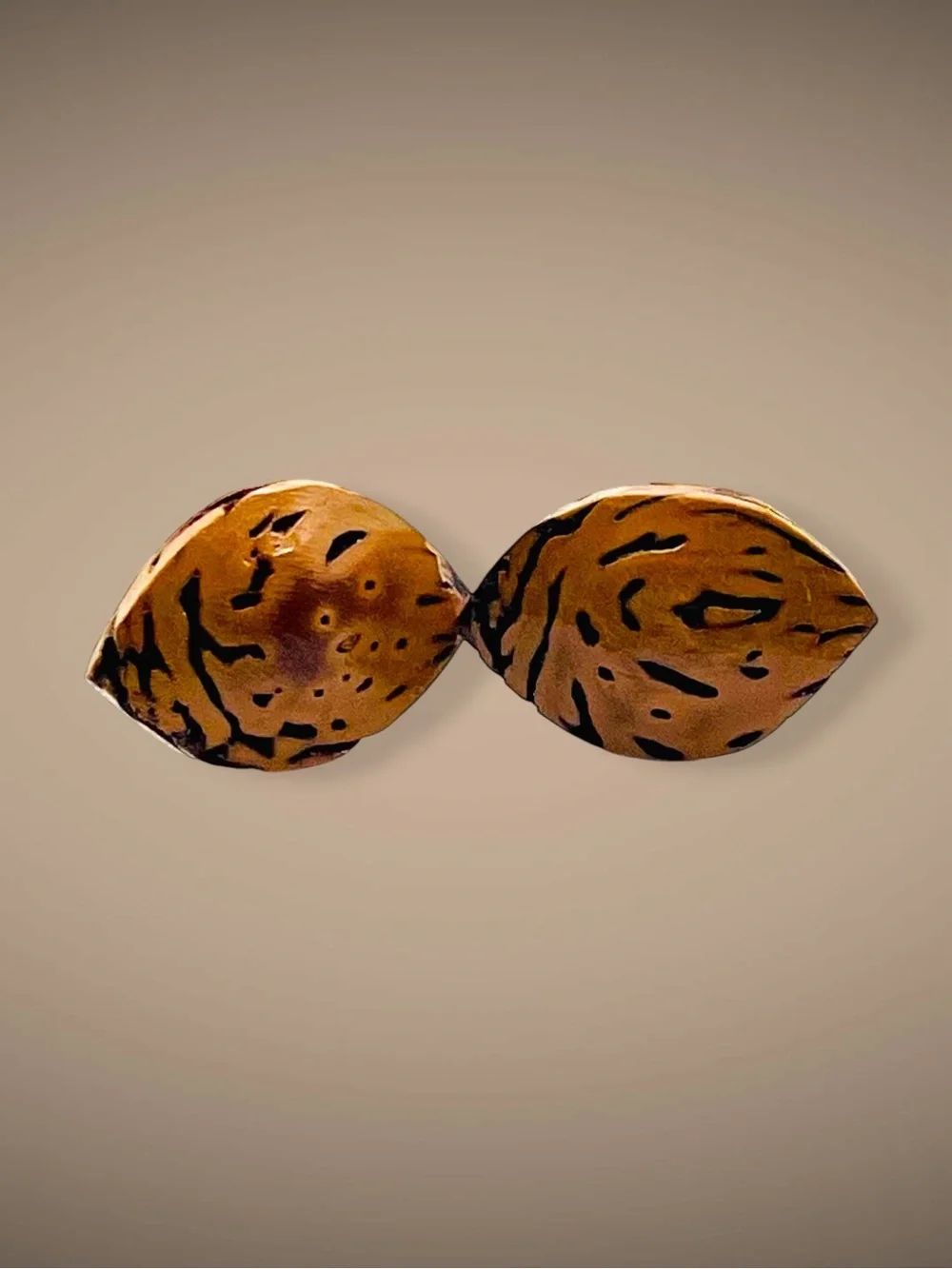 Rare Vintage Handmade Natural Seed Pod Bullet Back Cufflinks Speckled Organic